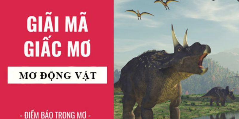 Giải mã giấc mơ thấy động vật